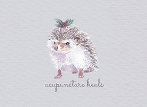 Mr Hedgehog Winter Note Card