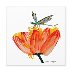 Elana Dragonfly Canvas