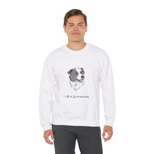 Load image into Gallery viewer, Dog Loves Acupuncture Sweatshirt
