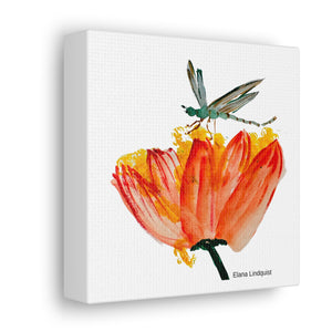 Elana Dragonfly Canvas