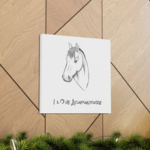 Load image into Gallery viewer, Horse Loves Acupuncture Canvas
