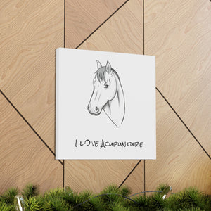 Horse Loves Acupuncture Canvas