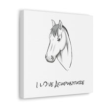 Load image into Gallery viewer, Horse Loves Acupuncture Canvas
