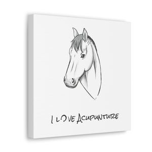 Horse Loves Acupuncture Canvas