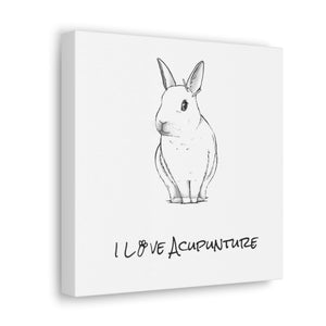 Rabbit Loves Acupuncture Canvas
