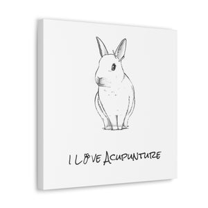 Rabbit Loves Acupuncture Canvas