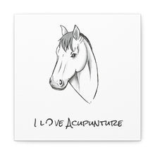 Load image into Gallery viewer, Horse Loves Acupuncture Canvas
