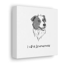 Load image into Gallery viewer, Doggie Loves Acupuncture Canvas
