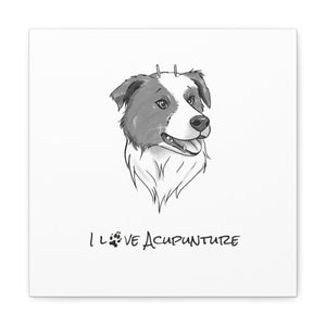 Doggie Loves Acupuncture Canvas