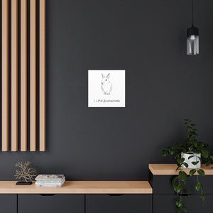 Rabbit Loves Acupuncture Canvas