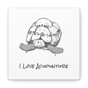 Tortoise  Loves Acupuncture Canvas