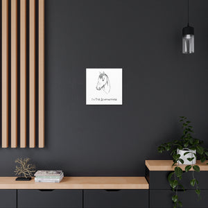 Horse Loves Acupuncture Canvas