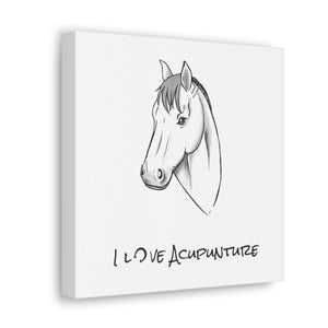 Horse Loves Acupuncture Canvas