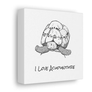 Tortoise  Loves Acupuncture Canvas