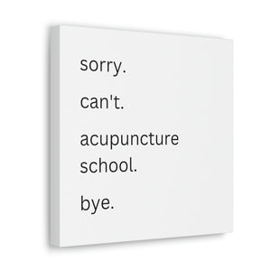 Sorry. Can't. Acupuncture School. Bye. Canvas