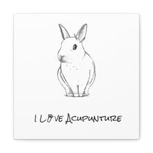 Load image into Gallery viewer, Rabbit Loves Acupuncture Canvas
