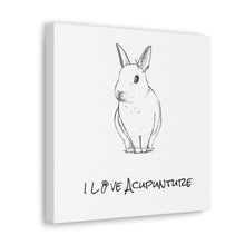 Load image into Gallery viewer, Rabbit Loves Acupuncture Canvas
