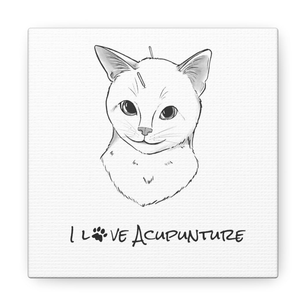 Cat Loves Acupuncture Canvas