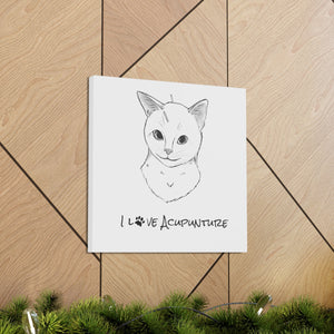 Cat Loves Acupuncture Canvas