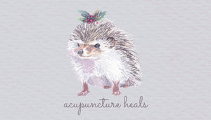 Appointment card - Mr Hedgehog winter - acupuncture heals