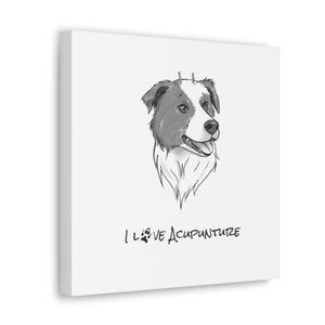 Doggie Loves Acupuncture Canvas