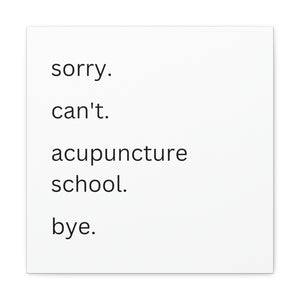 Sorry. Can't. Acupuncture School. Bye. Canvas
