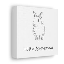 Load image into Gallery viewer, Rabbit Loves Acupuncture Canvas
