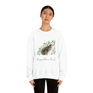 Mr Hedgehog Spring Sweatshirt