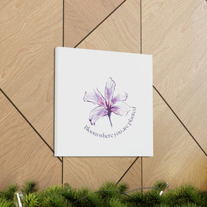 Bloom Where You are Planted Canvas