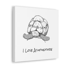 Load image into Gallery viewer, Tortoise  Loves Acupuncture Canvas
