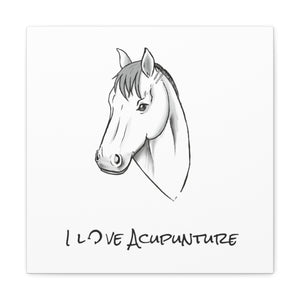 Horse Loves Acupuncture Canvas