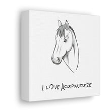 Load image into Gallery viewer, Horse Loves Acupuncture Canvas
