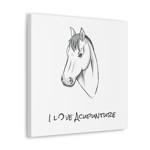 Horse Loves Acupuncture Canvas