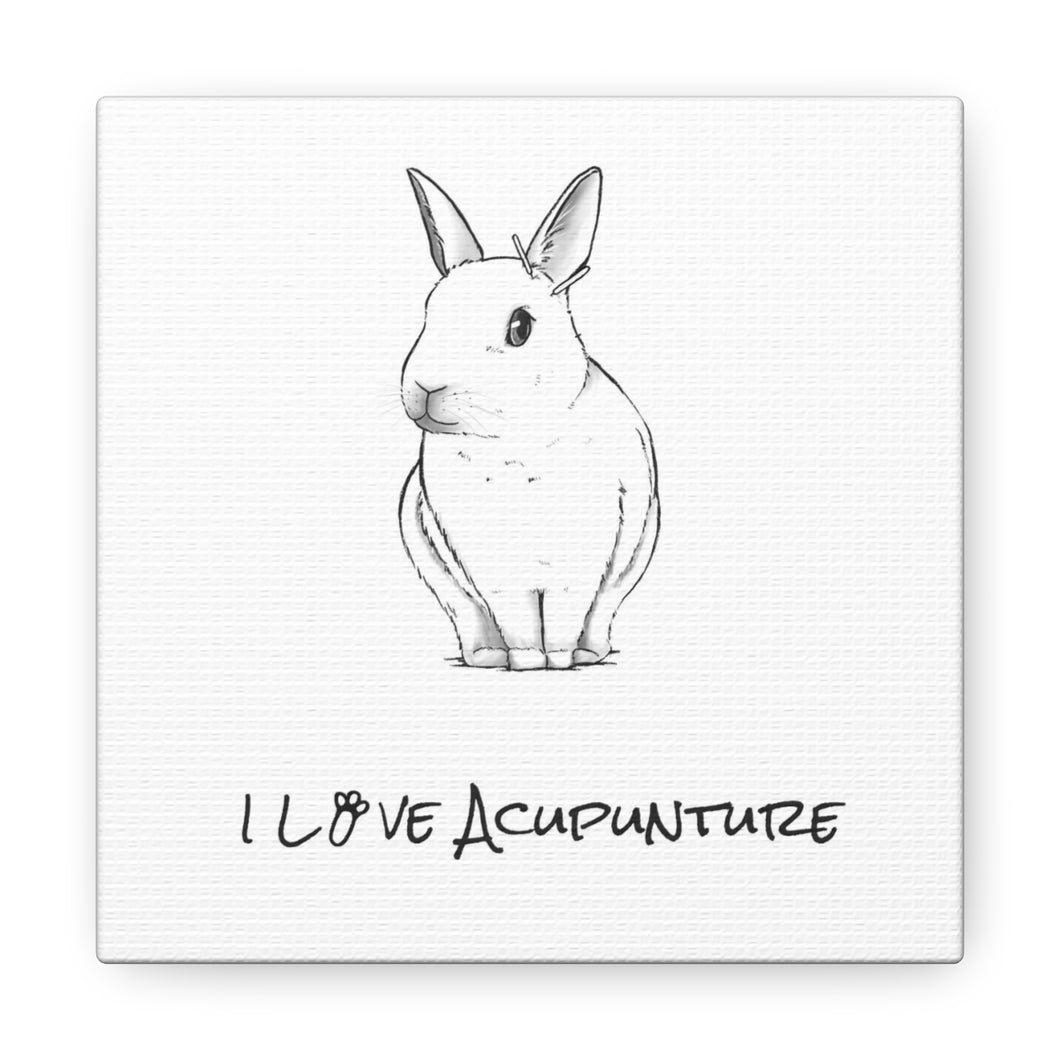 Rabbit Loves Acupuncture Canvas