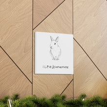 Load image into Gallery viewer, Rabbit Loves Acupuncture Canvas
