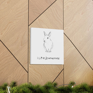 Rabbit Loves Acupuncture Canvas