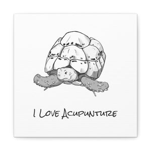Tortoise  Loves Acupuncture Canvas