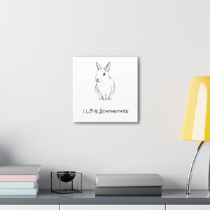 Rabbit Loves Acupuncture Canvas