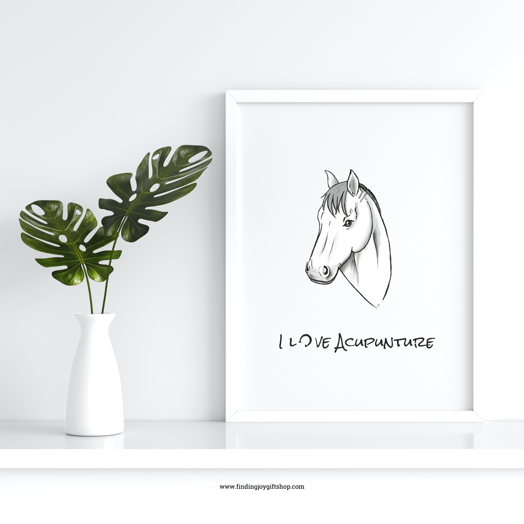 Horse Loves Acupuncture (Digital Download)